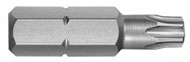 Torx Bit